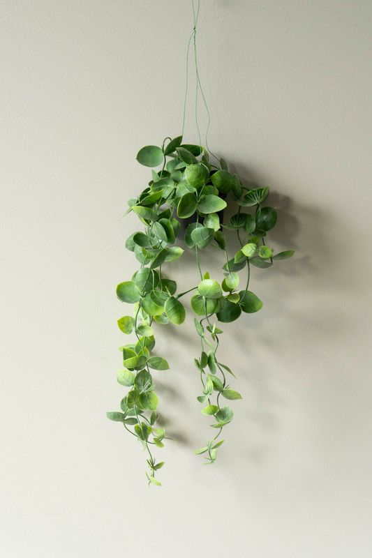 Hängväxt 56cm Stora Blad
