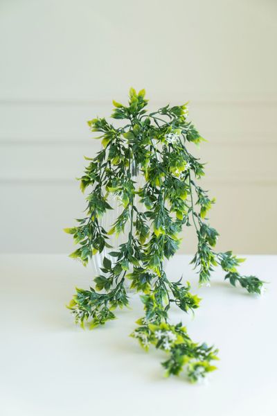 Huvudbild Konstgjord växt 80cm - Fyllig Grön