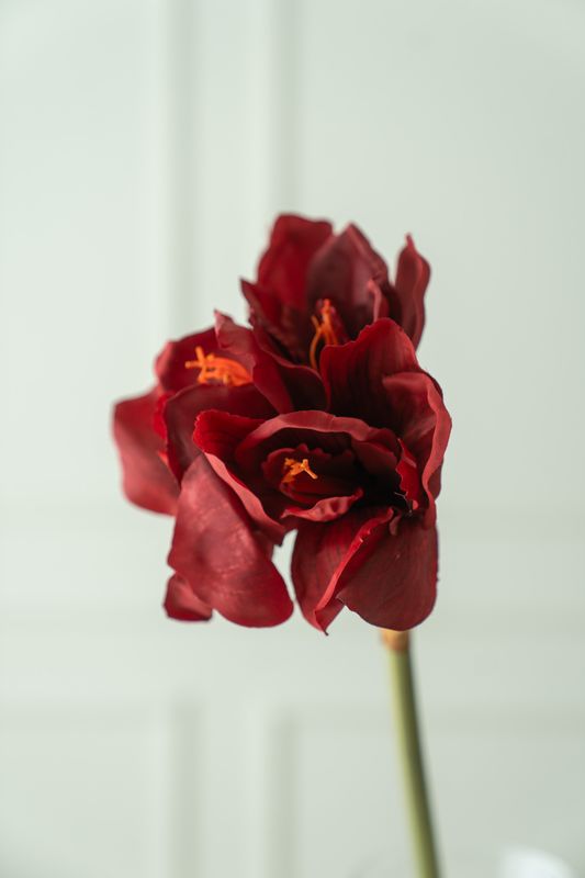 Konstgjord Blomma Amaryllis 66cm - Röd